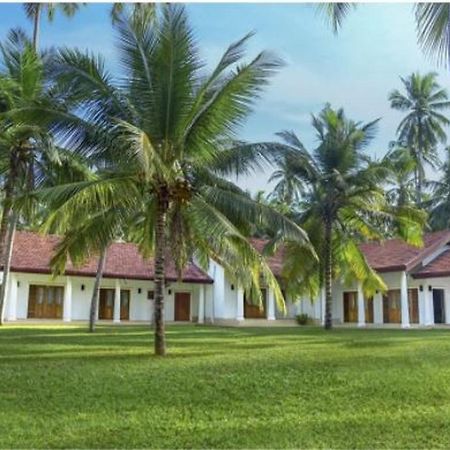 Coco Villa Peach Tree Katunayaka Exterior photo